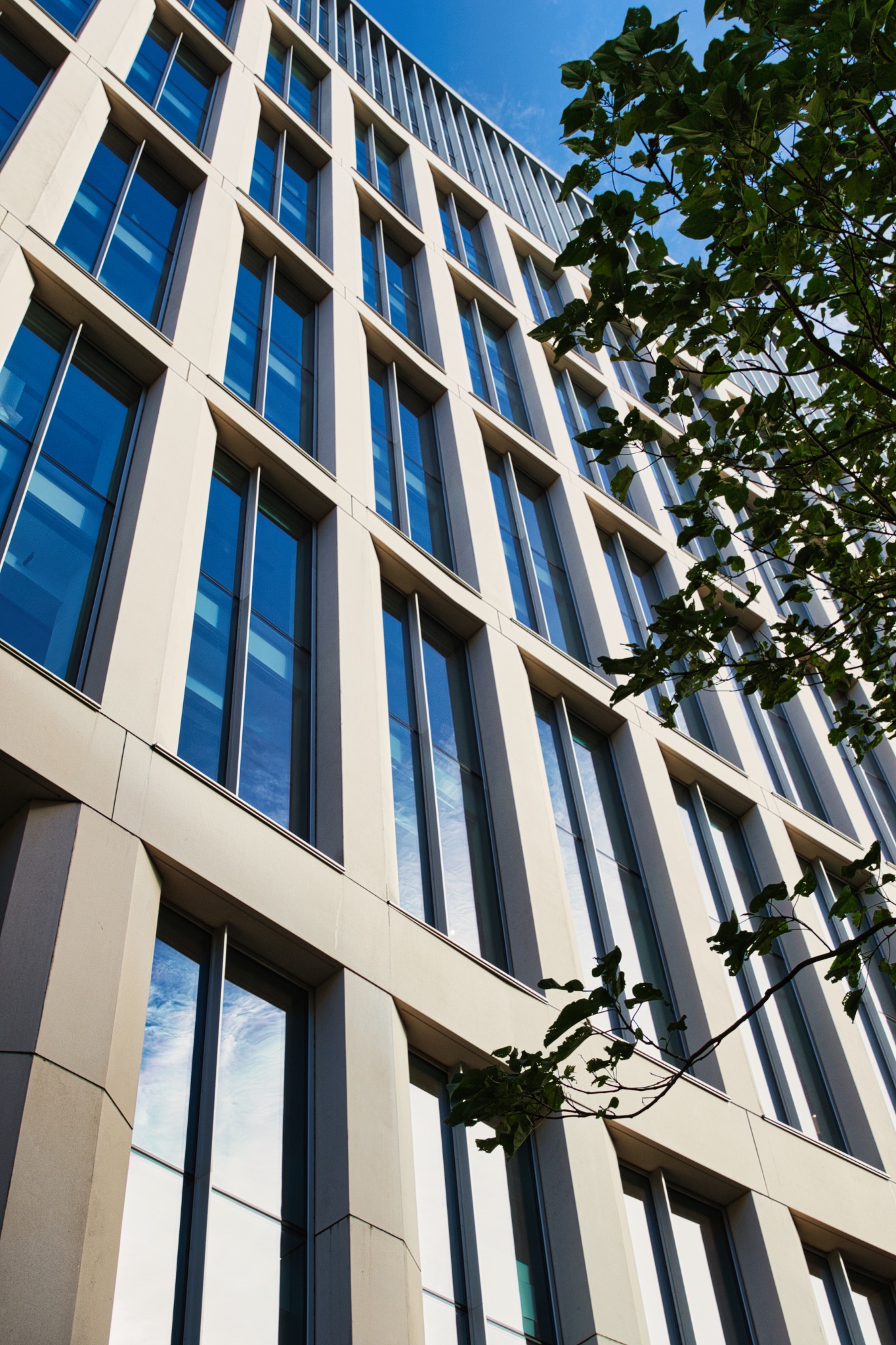 Beige Office Building with Windows and Tree Branches in Manchester, UK.